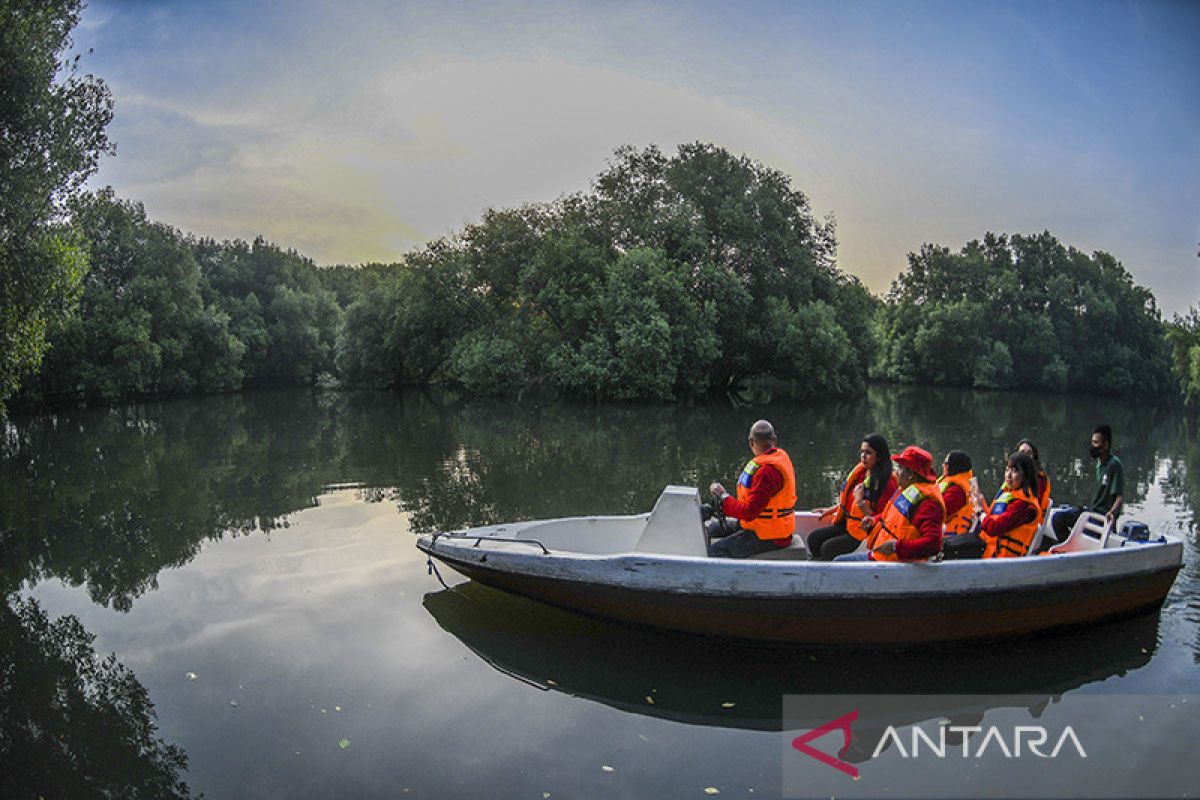 Jakarta's forestry sector potentially reduces 10,565 tons of CO2e