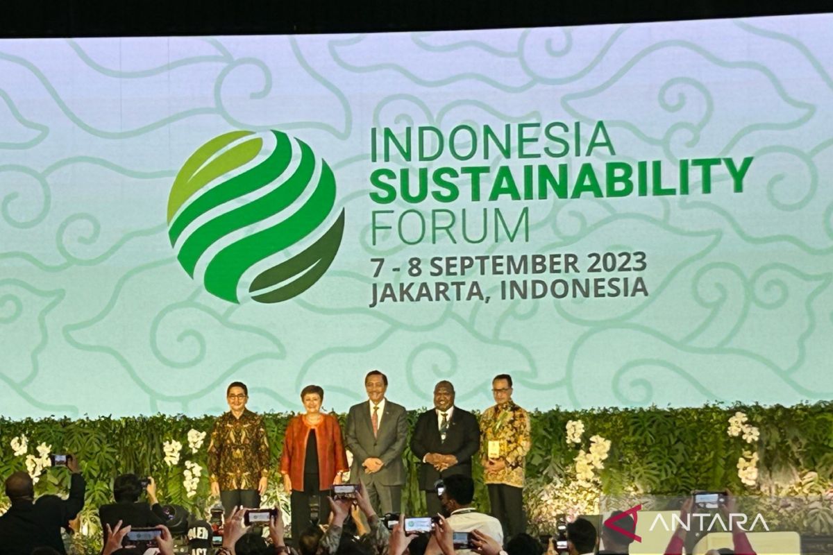 Indonesia ready to collaborate on climate action: Pandjaitan
