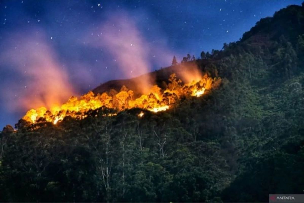 More regions targeted for forest fire control this year: BNPB